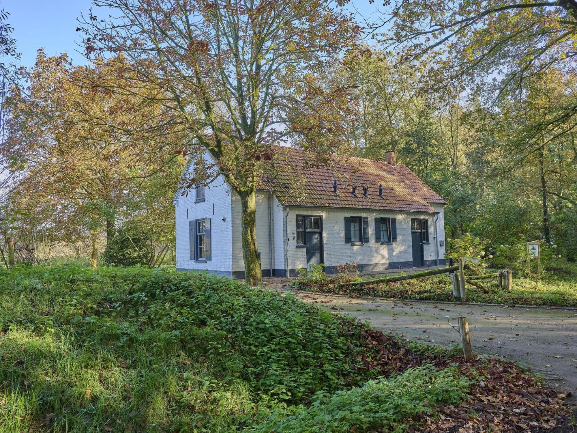 Bosbeertje 45 Villa Erp Exterior photo